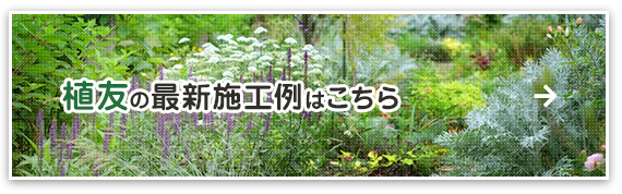 植友の最新施行例はこちら 